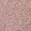TOHO 8/0 Round Beads SEED-XTR08-0106-2