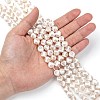 Tibetan Style Turtle Back Pattern dZi Beads Strands G-G036-10mm-6-5