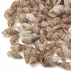 Sea Shell Beads SSHEL-S258-04-1