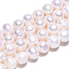 Natural Cultured Freshwater Pearl Beads Strands PEAR-N013-17N-01-5
