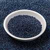 MIYUKI Round Rocailles Beads X-SEED-G009-RR0346-2
