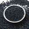 MIYUKI Round Rocailles Beads X-SEED-G008-RR0455-3