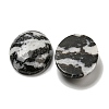 Natural Zebra Jasper Cabochons G-C115-01B-39-2