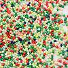 Baking Paint Glass Seed Beads SEED-S042-05B-51-3