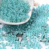 Glass Seed Beads SEED-H002-E-A1419-1