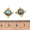 Natural Paua Shell Pendants SA-CBA11D7-09B-G-3