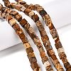 Natural Picture Jasper Beads Strands G-T139-6x6-27A-1