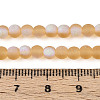 Frosted Transparent Glass Beads Strands GLAA-T032-T4mm-MBB08-4