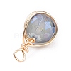 Electroplate Glass Pendants PALLOY-JF01080-3