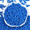 Baking Paint Glass Seed Beads SEED-K010-A15-3