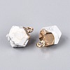 Natural Howlite Pendants G-N359-18G-14-2