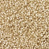 MIYUKI Delica Beads X-SEED-J020-DB0621-3