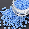6/0 Glass Seed Beads SEED-T005-14-B20-4