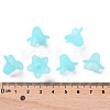 Transparent Acrylic Beads PLF018-13-4
