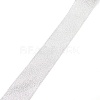 Polyester Ribbons OCOR-WH0064-75C-1