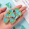 Transparent Enamel Acrylic Beads TACR-S155-001G-5