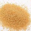 12/0 Round Glass Seed Beads SEED-J018-F12-62-2