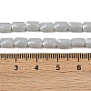 Opaque Glass Beads Strands GLAA-Z018-D19-4