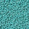 MIYUKI Delica Beads SEED-X0054-DB0166-2