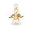 ABS Plastic Pendants PALLOY-JF04313-3