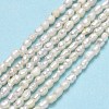 Natural Cultured Freshwater Pearl Beads Strands PEAR-J006-01A-2