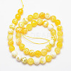 Natural Fire Crackle Agate Bead Strands G-K166-07F-8mm-07-3