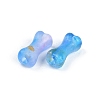 Gradient Color Transparent Acrylic Beads OACR-M023-01H-2