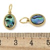 304 Stainless Steel Natural Paua Shell/White Shell Charms Ion Plating(IP) STAS-U037-03G-01-3