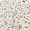 Glass Seed Beads SEED-L011-04A-21-3