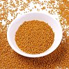 MIYUKI Delica Beads X-SEED-J020-DB2104-2