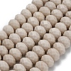 Natural Petrified Wood Beads Strands G-Z111-A37-3