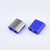 FGB 2-Hole Glass Seed Beads X-SEED-S031-L-048-H-2