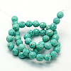 Natural Howlite Beads Strands TURQ-P027-44-2