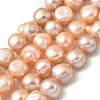 Natural Cultured Freshwater Pearl Beads Strands PEAR-A006-13E-2