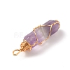 Natural Amethyst Double Terminated Pointed Pendants G-TAC0010-04G-02-2