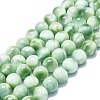Natural Glass Beads Strands G-K245-A13-05-1