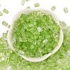 Transparent Spray Painted Glass Seed Beads SEED-L011-10A-06-2