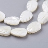 Natural Trochid Shell/Trochus Shell Beads Strands SSHEL-K015-05-3