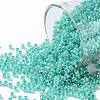 TOHO Round Seed Beads X-SEED-TR11-0920-1
