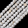 Natural Freshwater Shell Beads Strands SH-CBA2978-07D-02-1