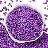8/0 Baking Paint Glass Seed Beads SEED-M012-02A-40-2