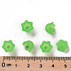 Transparent Acrylic Beads Caps LS-X-PL543-9-4