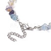 Natural Fluorite Chip Beaded Necklace NJEW-JN04615-11-5
