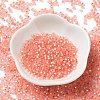 8/0 Glass Seed Beads SEED-Z001-C-E07-2