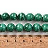 Natural Malachite Beads Strands G-A271-A01-10mm-5