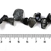 Natural Eagle Eye Stone Nuggets Beads Strands G-B125-A15-01-4
