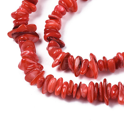 Natural Freshwater Shell Beads Strands SHEL-S278-071A-1