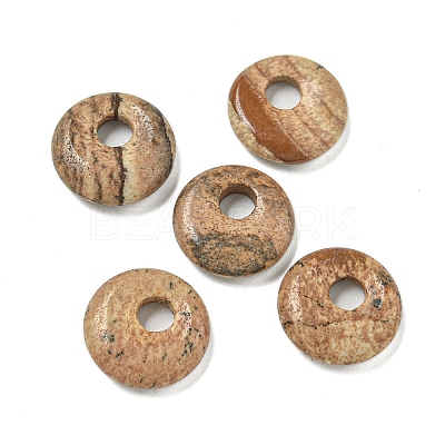 Natural Picture Jasper Donut/Pi Disc Charms G-G142-02F-1