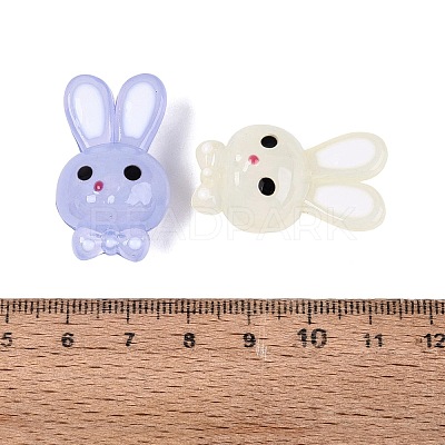 Imitation Jelly Effect Acrylic Beads OACR-N126-05-1