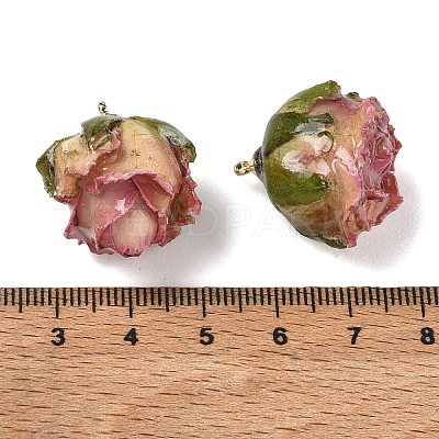 Brass Epoxy Resin Pendants FIND-D043-01G-09-1